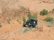 ladd_on_the_trail