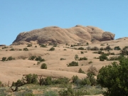 pig_rock