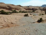 slickrock_trail