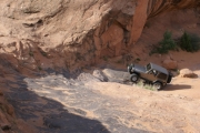 walt_in_the_waterfall_part_1