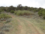little-used_trail