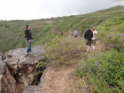 looking_for_dinosaur_tracks