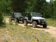 mike_and_ladd