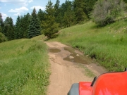 small_puddles