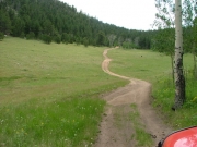 trail_through_a_meadow