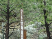 forest_service_sign