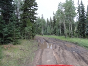 muddy_hole