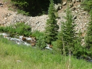 creek_in_pomeroy_gulch