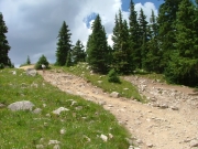 hill_climb