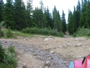 left_turn_to_mary_murphy_mine