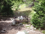 grave