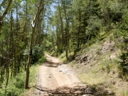 climbing_beside_the_creek