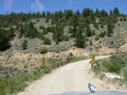 early_trail_part_2