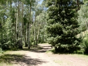 peaceful_trail