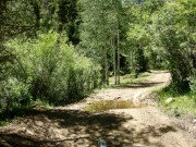 small_water_crossing