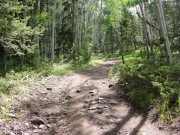 side_loop_trail