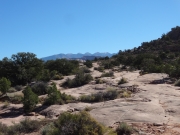 across_slickrock