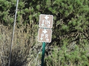 fins__things_or_porcupine_rim