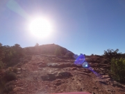 into_the_sun