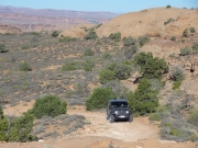 julie_on_the_trail