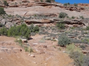 ledges