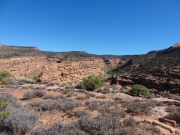 negro_bill_canyon_part_5
