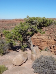 overlook_2_part_5