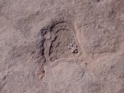 rock_print