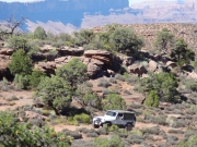 roger_on_the_trail