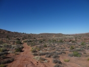 small_trail