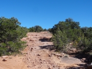 stairmaster