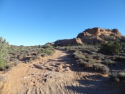 start_of_the_trail
