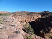 view_along_the_way