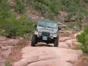 bill_on_the_trail