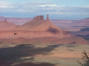 bird_over_the_rim