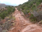 bumpy_trail