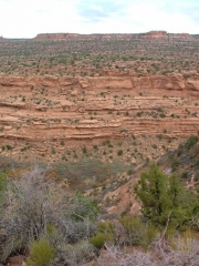 canyon