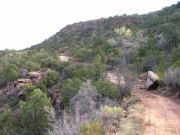 climbing