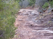 early_obstacle