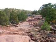 ledges