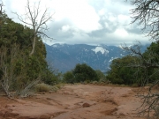 mountain_view