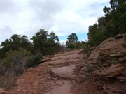 tippy_ledges