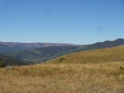 big_view