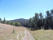 downhill