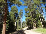 early_trail