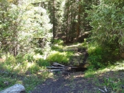 end_of_the_trail