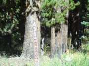 forest_service_sign
