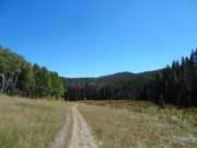 little-used_trail