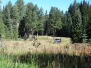 matt_hidden_in_grasses