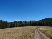 meadow